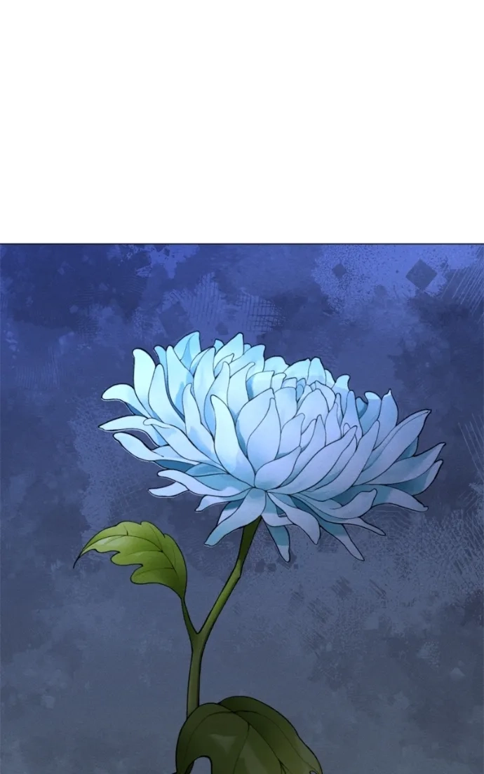 Chapter 229 Image(63)